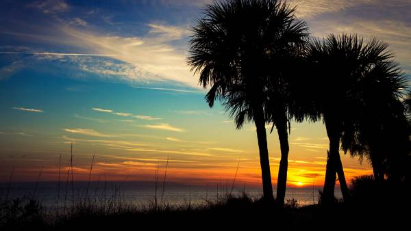 Trauma therapy near me Arlington Virginia